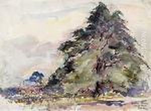 Hortus Leiden, Glinko Tree