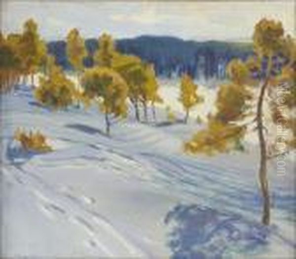 Aurinkoinen Talvipaiva. - view 1