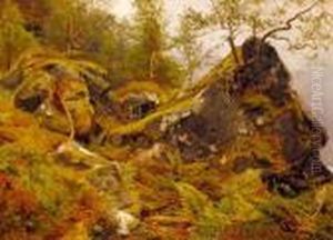 Studie Fra Bondhus