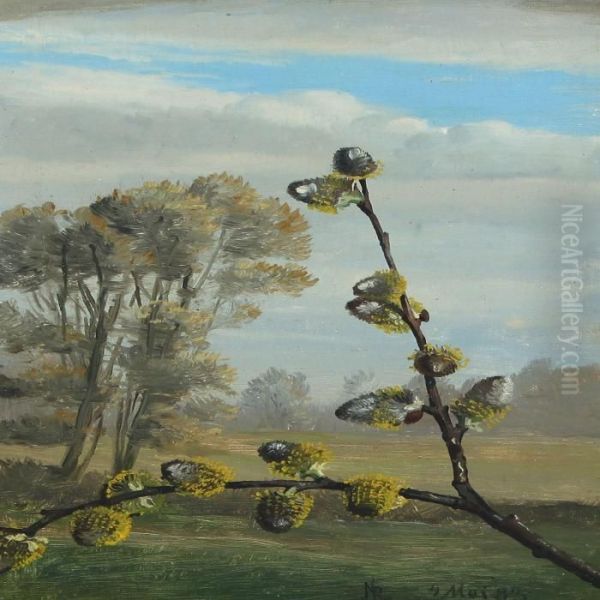 Willow Branch In Blossom - view 1