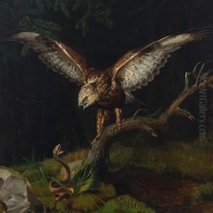 A Common Buzzard And A Viper