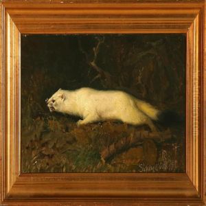 A White Mink