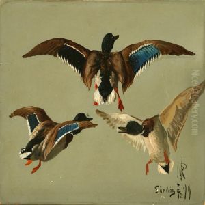 Ducks