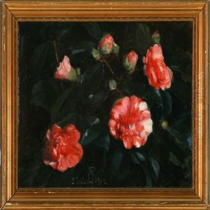 Red Camellia