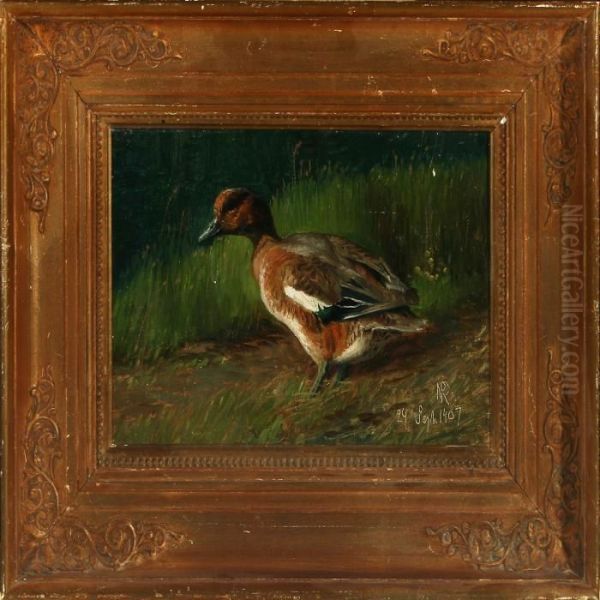 A Duck On Sunday The 24th Of September 1907 - view 1
