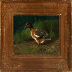 A Duck On Sunday The 24th Of September 1907