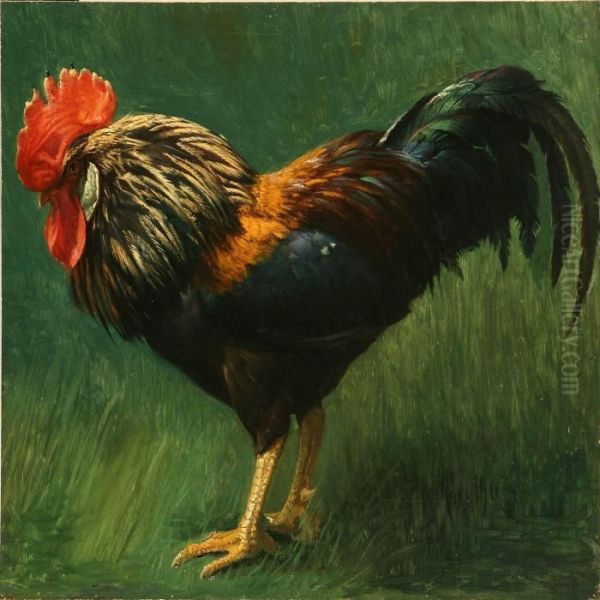 A Cock In The Grass - view 1