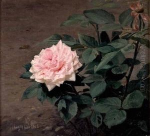 Rosenstrauch