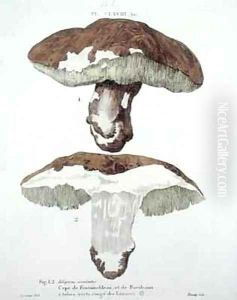 Tubiporus esculentus