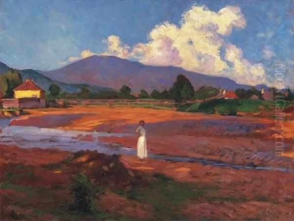 Nagybanya - view 1