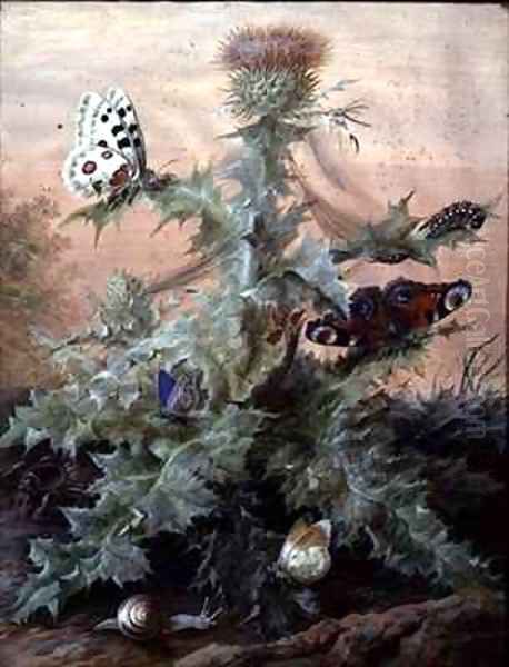 Insects Around a Thistle - view 1