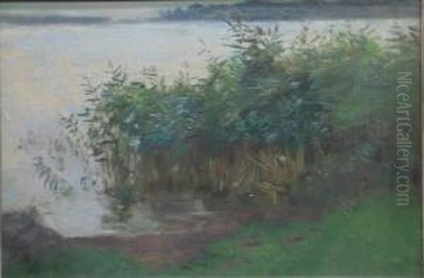 Uferlandschaft Amchiemsee - view 1