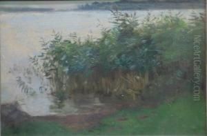 Uferlandschaft Amchiemsee