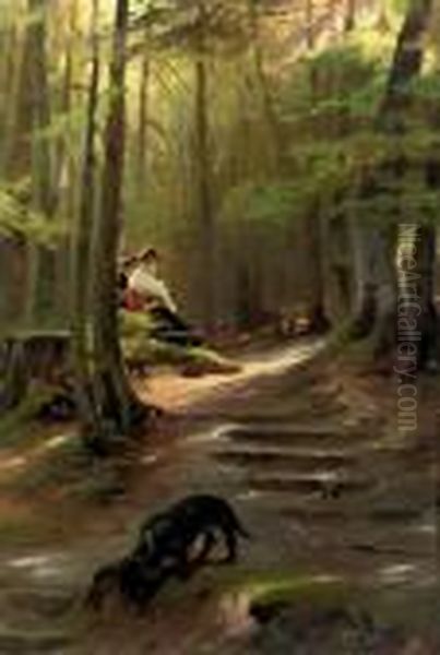 The Nosy Dachshound: A Sunny Spot In The Woods - view 1