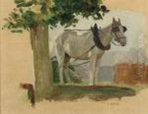 Le Cheval Du Molard Le Cheval Du Molard