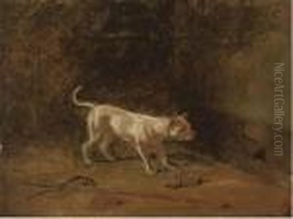 The Rat-catcher - view 1