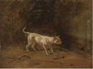 The Rat-catcher by Samuel Raven