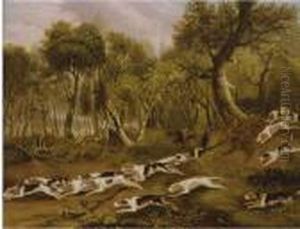 The Belvoir Hounds