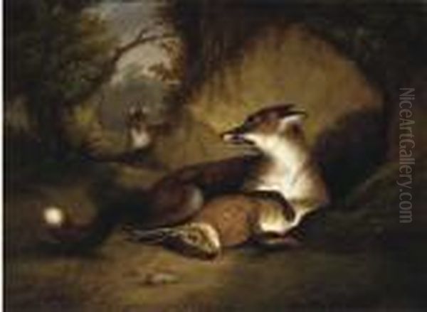 The Fox's Lair - view 1
