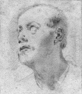 The head of a man looking up to the left