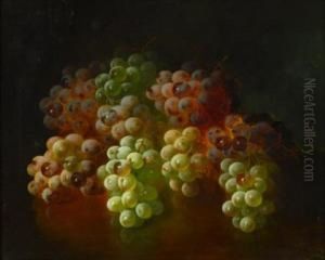 Still Life With Grapes