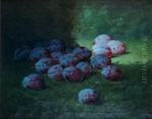 Plums Plums