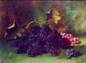 Concord Grapes