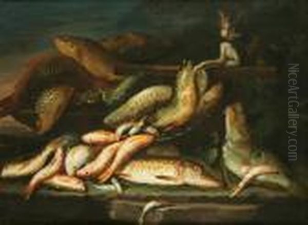 Natura Morta Di Pesci - view 1