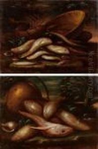 Natura Morta Di Pesci