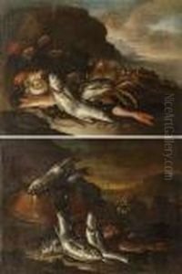 Natura Morta Con Pesci E Catino Di Rame
Natura Morta Con Pesci E Crostacei by Elena Recco