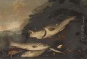 Dead Fish, Prawns, A Lobster And A Crab On A Shore by Elena Recco