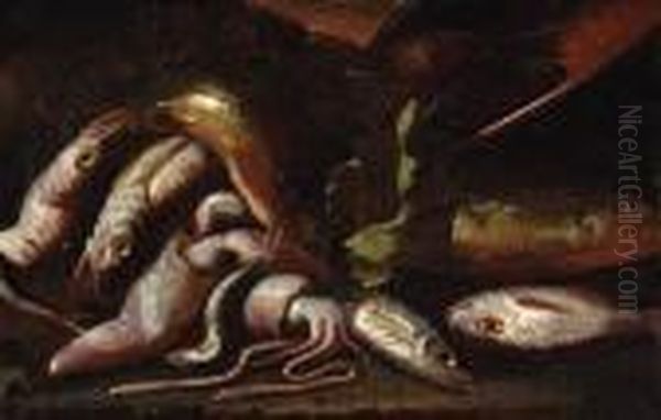 Fish And A Crayfish On A Coastline - view 1