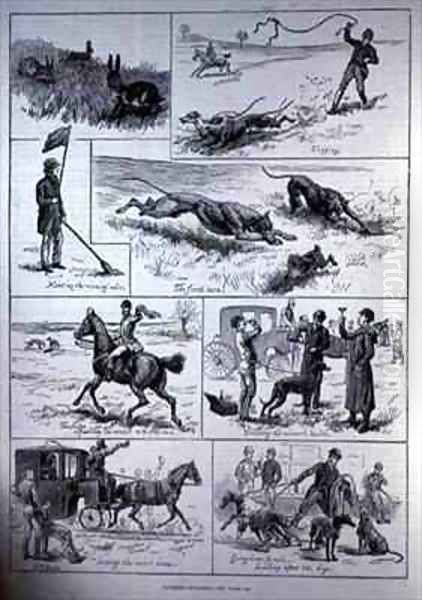 Coursing Matches - view 1