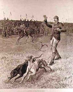 Coursing Slipping the Greyhounds Coursing Slipping the Greyhounds
