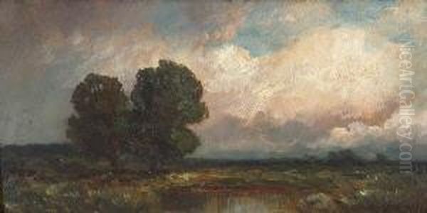 Moorlandschaft. - view 1