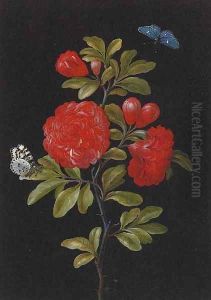 Still Life of a Rose and Butterflies by Barbara Regina Dietzsch
