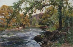 Summer On The Derwent