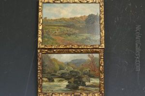A Pair, On The Derwent And Rock River Rapids