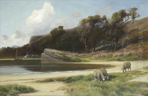 Sheep Grazing Byan Estuary - view 1