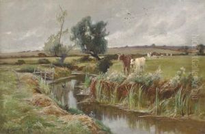 Cattle By A Stream