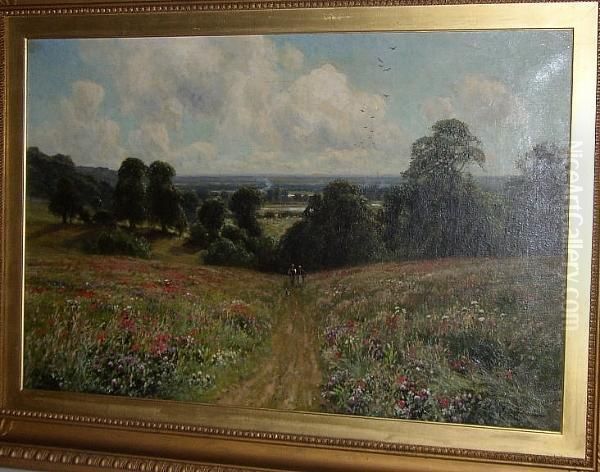 Summer Meadow - view 1