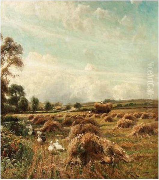 Ducks In A Harvest Field - view 1