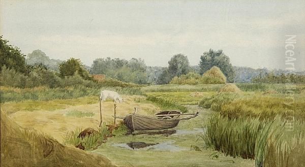 Boat In A Marsh Landscape - view 1