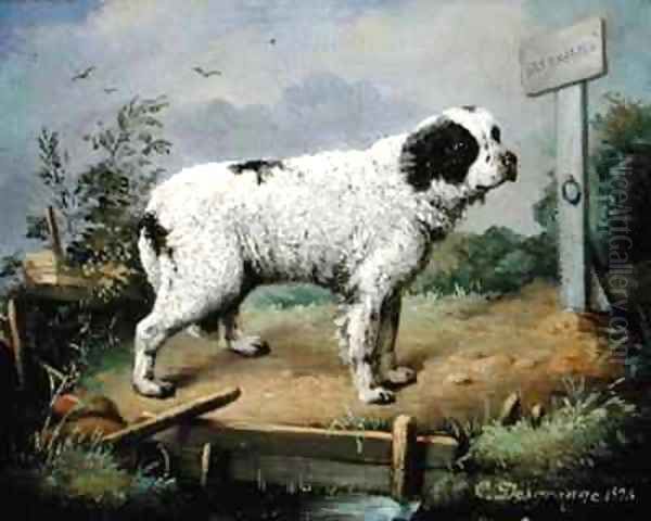 A Newfoundland on an Embankment - view 1