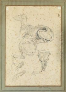 Levrette Cinq Etudes Sur La Meme Planche by Regnault Henri