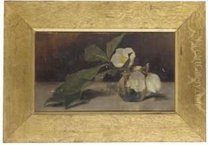 Magnolias In A Glass Vase, On A Table