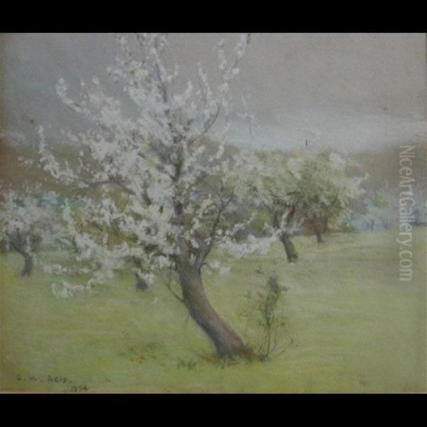 Blossom Trees - view 1