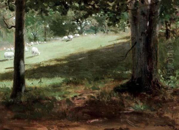 Sheep In Forest Glade - view 1