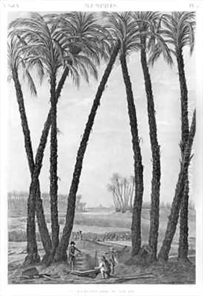 View of the ruins of Memphis seen from the south east - view 1