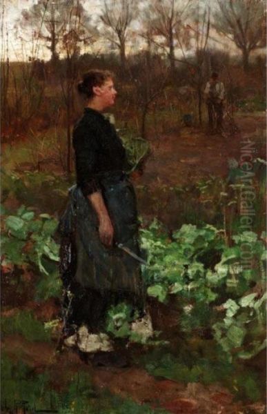 The Cabbage Garden - view 1
